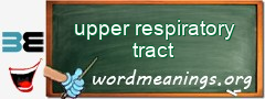 WordMeaning blackboard for upper respiratory tract